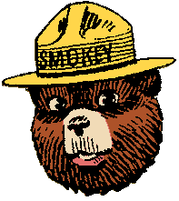 Only you can prevent forest fires.